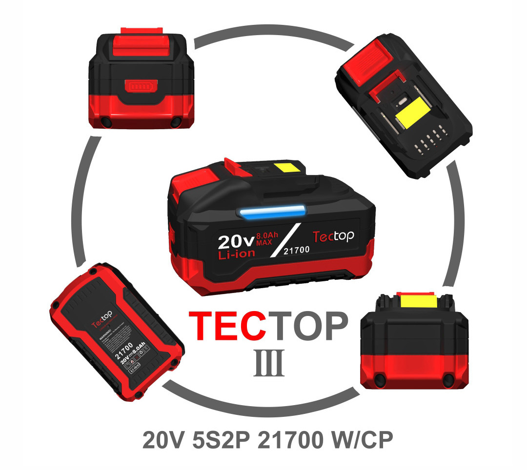 TT3-20V-5S2P-W/CP-21700-6.0/8.0Ah