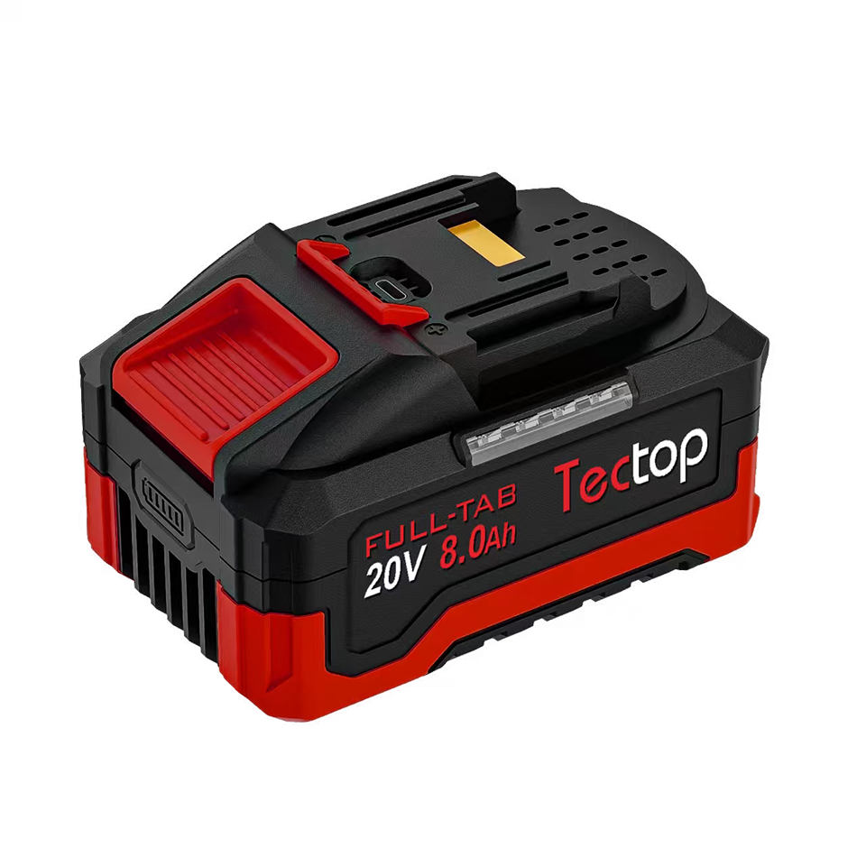 TT3-20V-5S2P-21700-6.0/8.0Ah